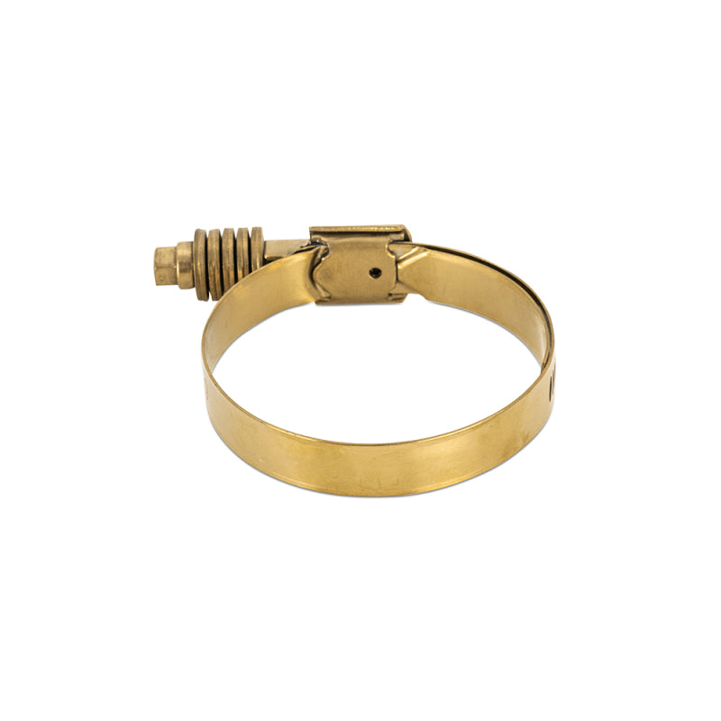 Mishimoto Constant Tension Worm Gear Clamp 1.77-2.60 inches (45-66mm) - Stainless Steel, Gold Finish