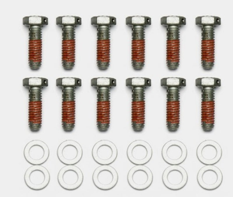 Wilwood Bolt Kit - 5/16-18 x 1.00 Inch Length - 12 Pack | Part Number 230-14086