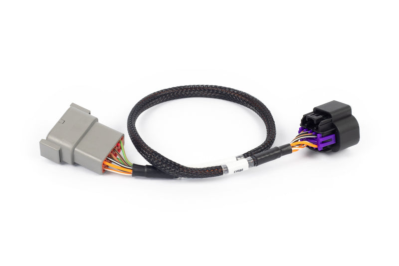 Haltech NEXUS Rebel LS 8-Pin Drive-by-Wire Adaptor (Part Number HT-186506)
