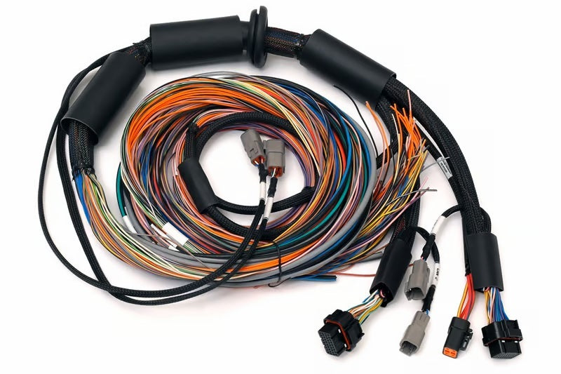 Haltech NEXUS R3 Universal Wire-In Harness – 8ft (2.5 meters) for Automotive Applications