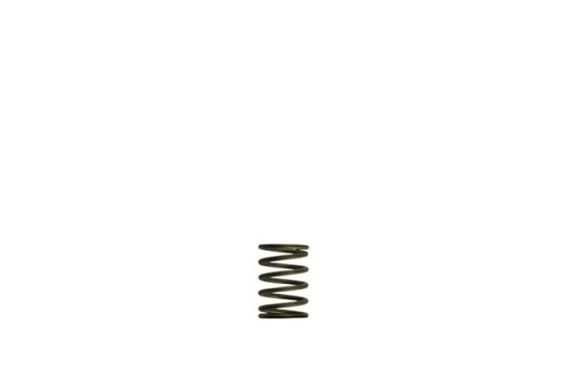 Turbosmart Gen-V WG38/40 3psi Black Inner Wastegate Spring for External Wastegate Systems