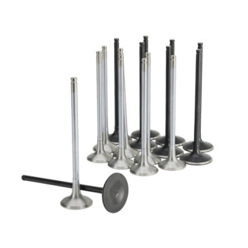 Skunk2 Racing Honda K20C1 Alpha Series Intake & Exhaust Valve Set (Standard Compression)
