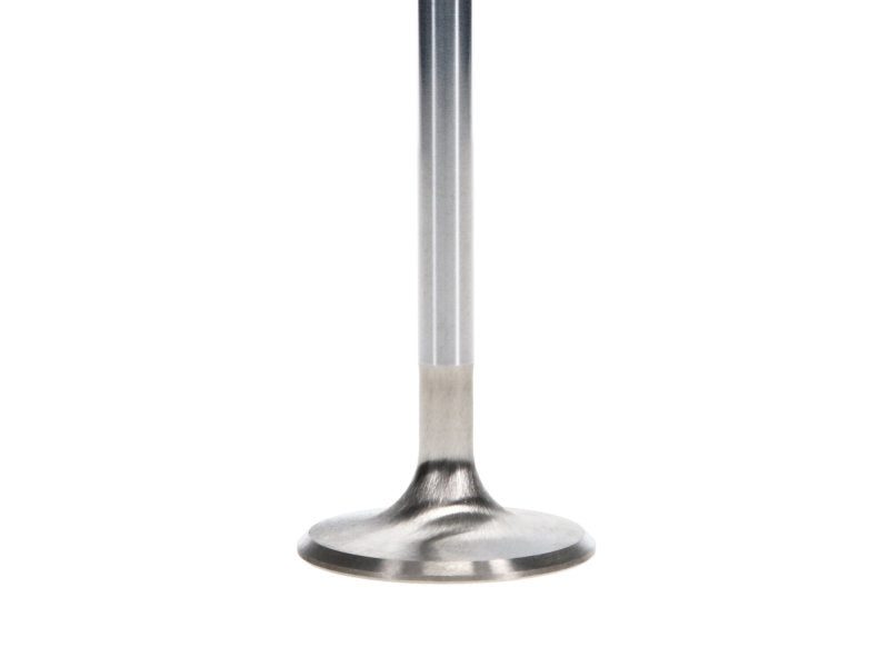 Manley Performance Ford 4.6L DOHC (4 Valve) Triple Groove 37mm Race Master Intake Valves