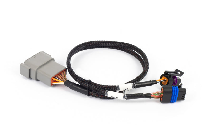 Haltech NEXUS Rebel LS Cable Throttle & IAC Sub-Harness (Part #HT-186504)