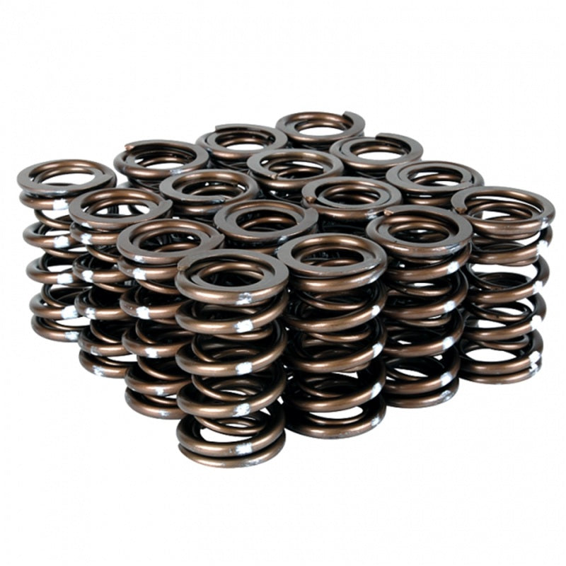 Skunk2 Racing Pro Series Honda/Acura B-Series VTEC XP Valve Spring Set (Part Number 311-05-7350)