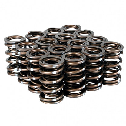 Skunk2 Racing Pro Series Honda/Acura B-Series VTEC XP Valve Spring Set (Part Number 311-05-7350)