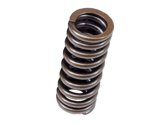 BLOX Racing Valve Springs for D-series SOHC VTEC D16Z-Y (1.6L SOHC VTEC) – Honda Civic and Civic del Sol Compatibility