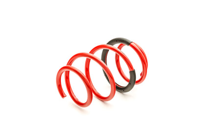 Eibach Sportline Kit for 2015-2022 Ford Mustang GT 5.0L V8 - Lowering Springs Performance Suspension