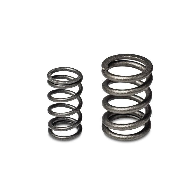 Skunk2 Racing Alpha Valve Spring Set for Honda/Acura B16A/B17A/B18C Engines