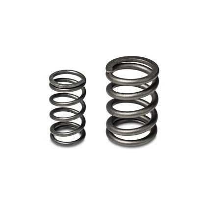 Skunk2 Racing Alpha Valve Spring Set for Honda/Acura B16A/B17A/B18C Engines