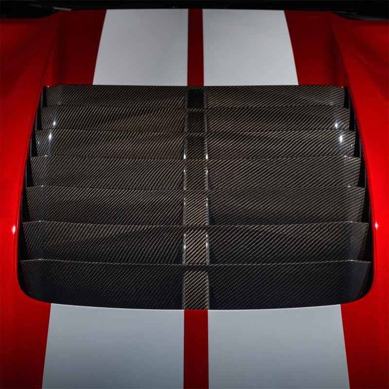 Ford Racing 20-22 Mustang GT500 Carbon Fiber Hood Vent Kit