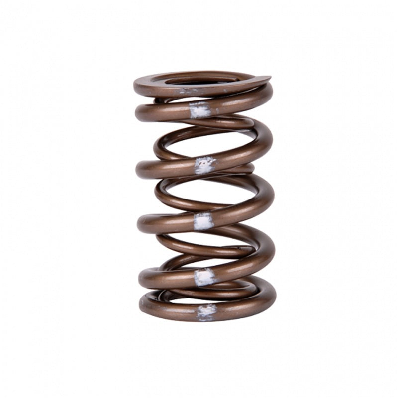 Skunk2 Racing Pro Series XP Valve Spring Set for Honda K-Series i-VTEC Engines - Part #311-05-7380