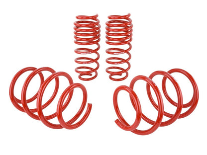 Skunk2 Racing Lowering Springs for 2016-2017 Honda Civic – Part Number 519-05-1775