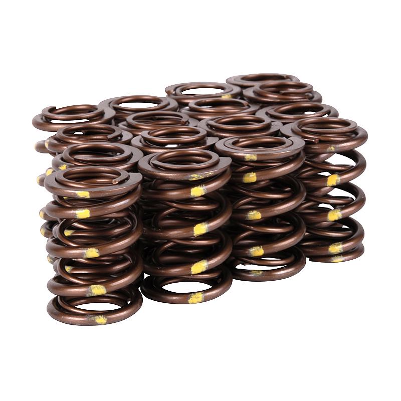 Skunk2 Racing Pro Series Honda/Acura B-Series VTEC XP Valve Spring Set (Part Number 311-05-7350)