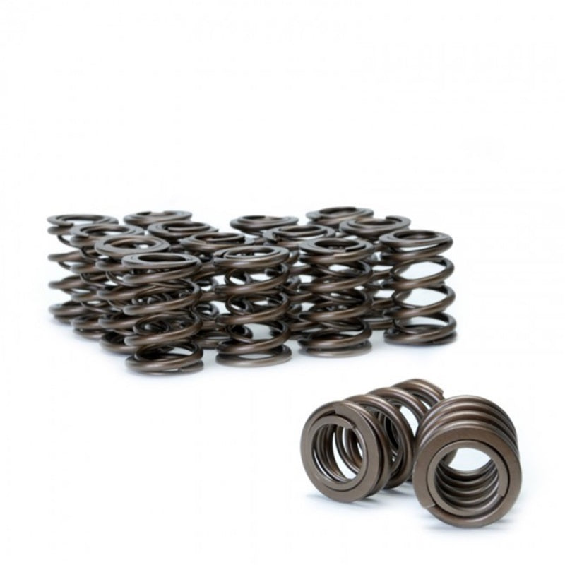 Skunk2 Racing Alpha Valve Spring Set for Honda/Acura B16A/B17A/B18C Engines