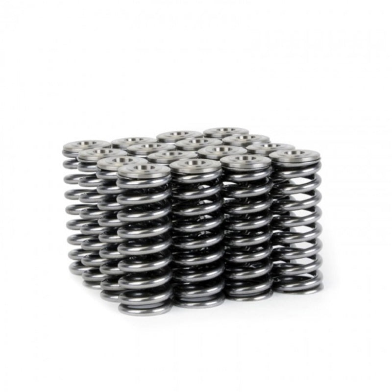 Skunk2 Alpha Series Honda D-Series Valve Spring and Titanium Retainer Kit