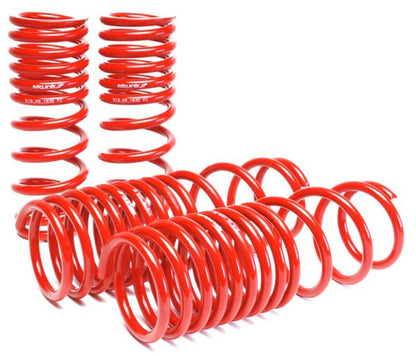 Skunk2 Racing Lowering Springs for 1990-1997 Honda Accord – Set of 4