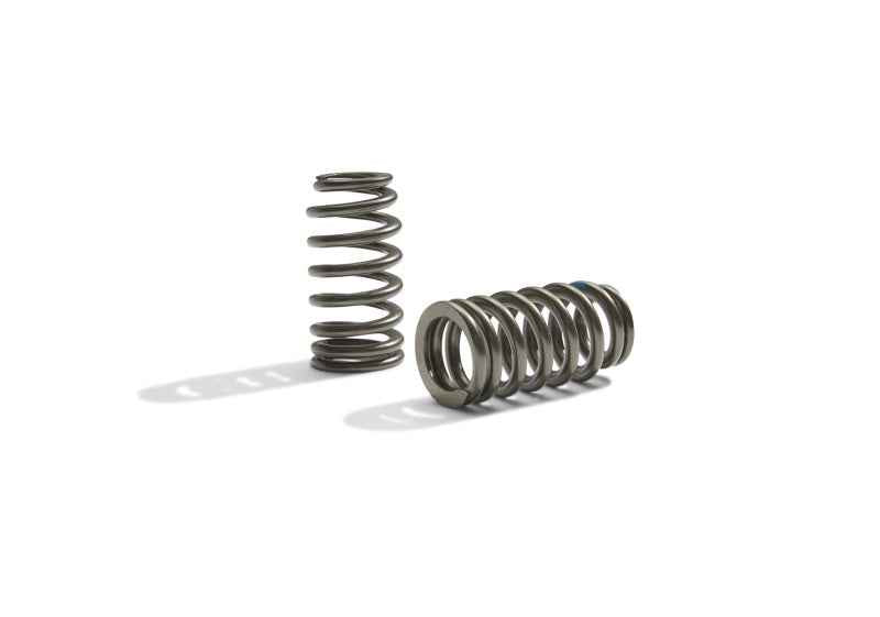 Ford Racing BOSS 302R Valve Spring Kit