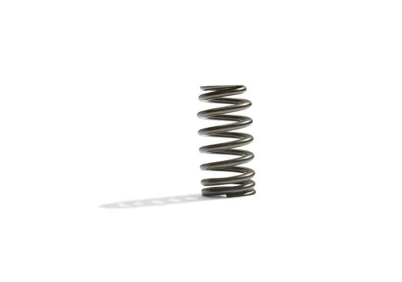 Ford Racing BOSS 302R Valve Spring Kit