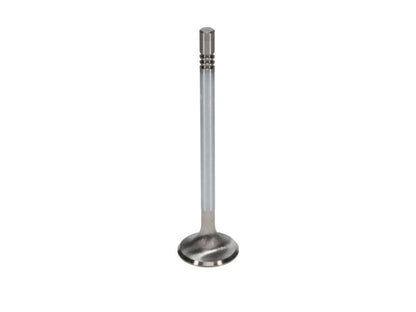 Manley Performance Ford Coyote 5.0L DOHC Race Master Exhaust Valves (Part #11627-8) Set of 8