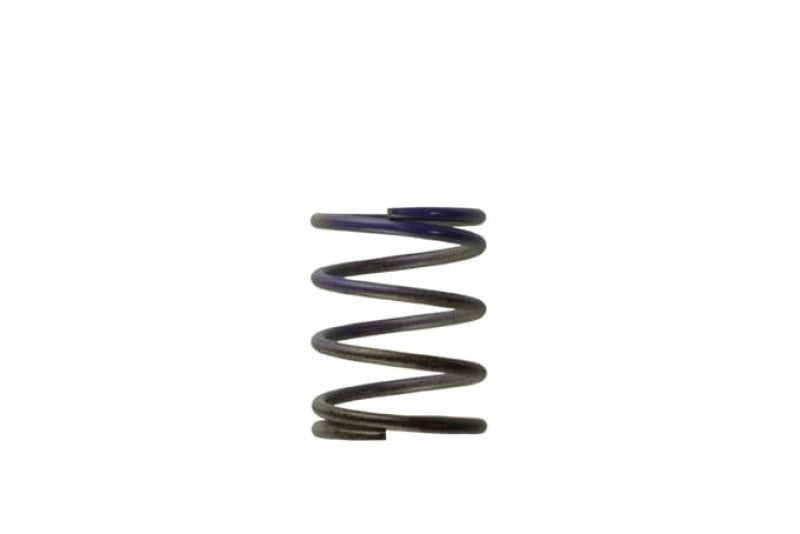 Turbosmart WG40 7 PSI Middle Spring Brown/Purple for Turbo Wastegates