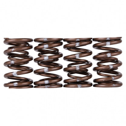 Skunk2 Racing Pro Series Honda/Acura B-Series VTEC XP Valve Spring Set (Part Number 311-05-7350)