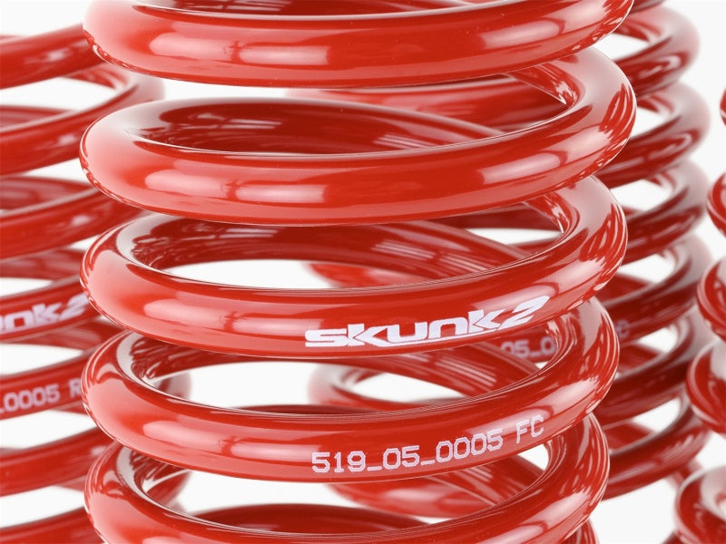 Skunk2 Racing Lowering Springs for 1992-1995 Honda Civic and 1993-1997 Honda Del Sol, Part Number 519-05-1480