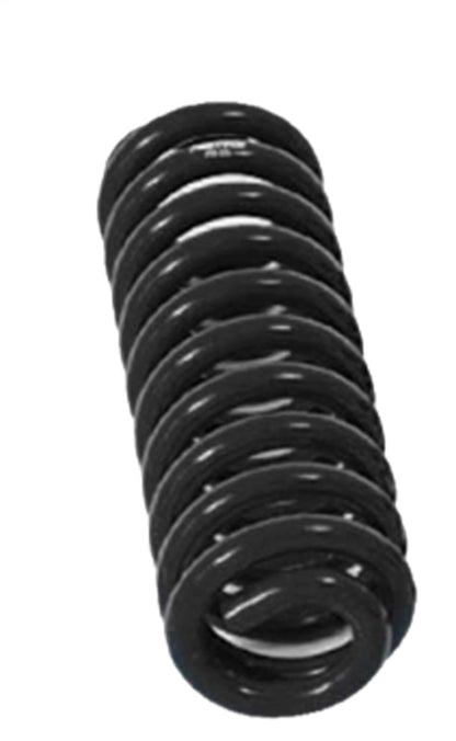 Fabtech 6-Inch Coil Spring Kit for 2002-2004 Ford F-250 Super Duty 4WD and 2WD Models