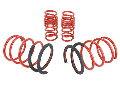 Skunk2 Racing Lowering Springs for 2002-2004 Acura RSX – Improve Handling and Ride Quality