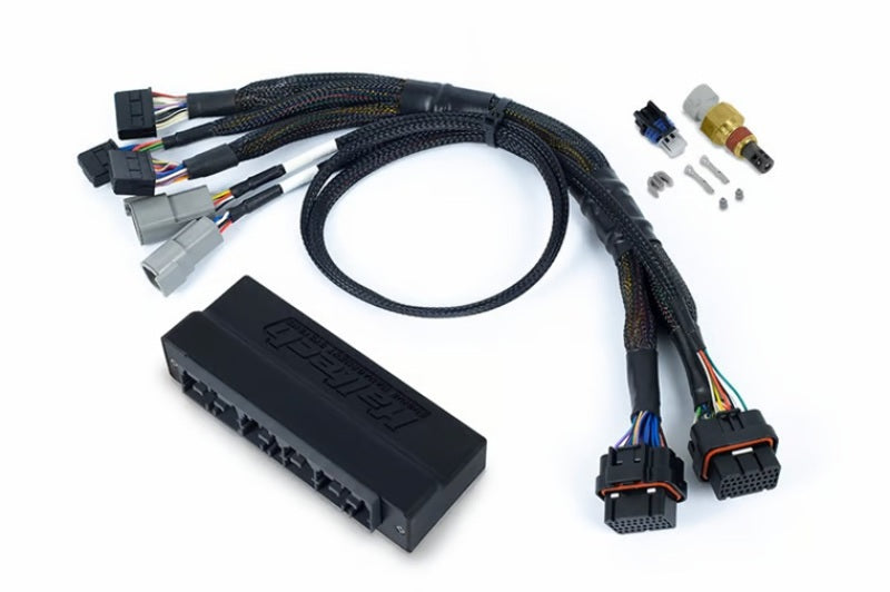 Haltech NEXUS S3 Plug-n-Play Adapter Harness - Part HT-186367