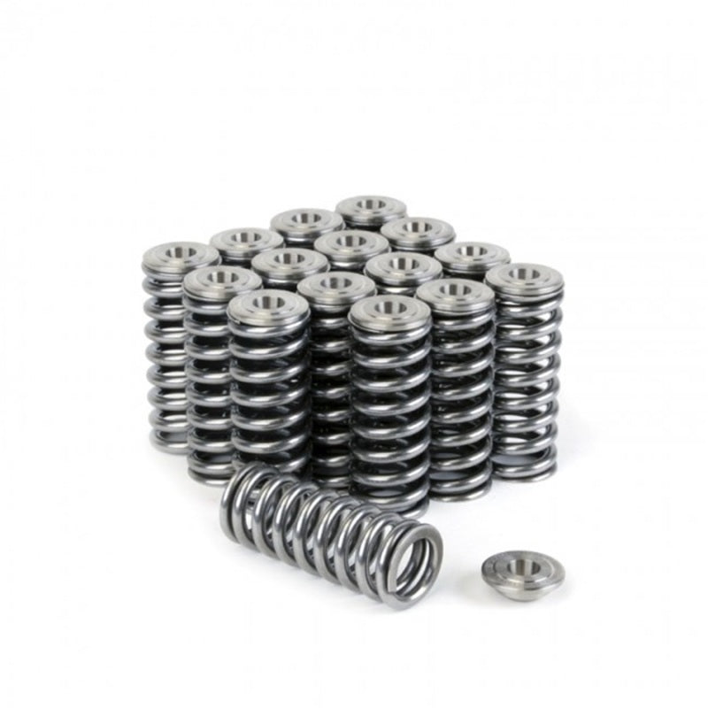 Skunk2 Alpha Series Honda D-Series Valve Spring and Titanium Retainer Kit