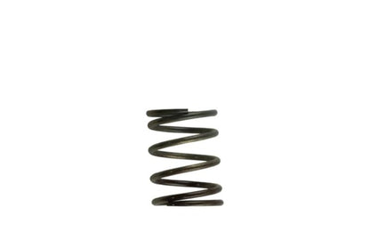 Turbosmart WG40 5PSI Inner Spring Brown/Grey for Turbo Wastegates