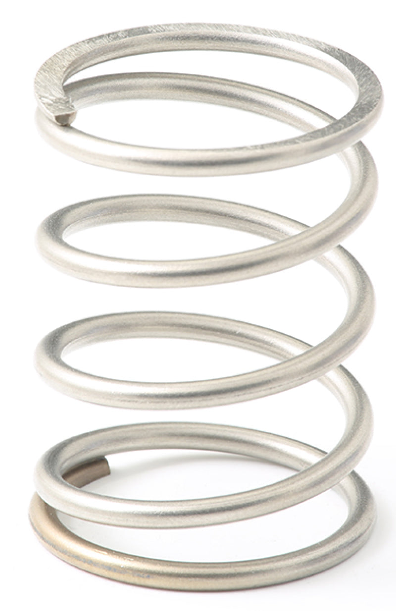 Go Fast Bits GFB EX38/44 7psi Wastegate Spring (Middle) for Automotive Performance Enhancement