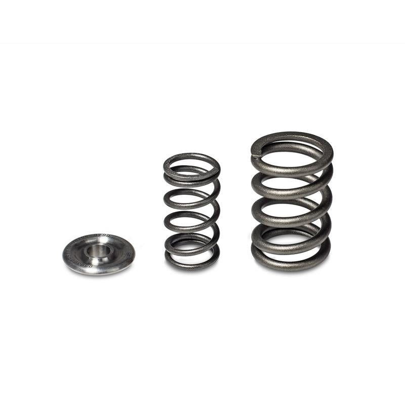 Skunk2 Alpha Series Honda/Acura H Series Valve Spring and Titanium Retainer Kit - Performance Upgrade for H22A Engines