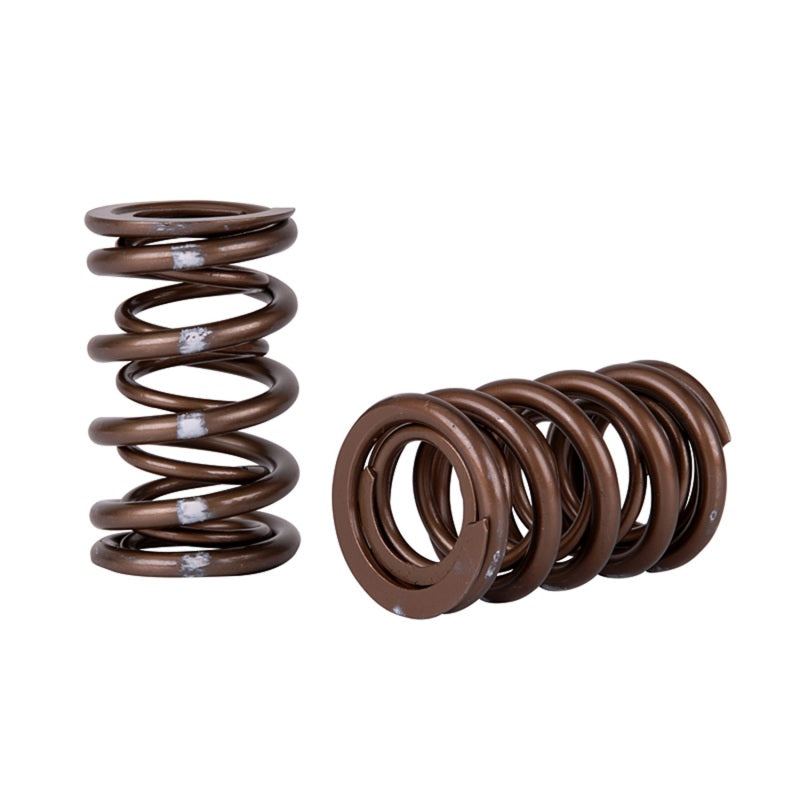 Skunk2 Racing Pro Series XP Valve Spring Set for Honda K-Series i-VTEC Engines - Part #311-05-7380