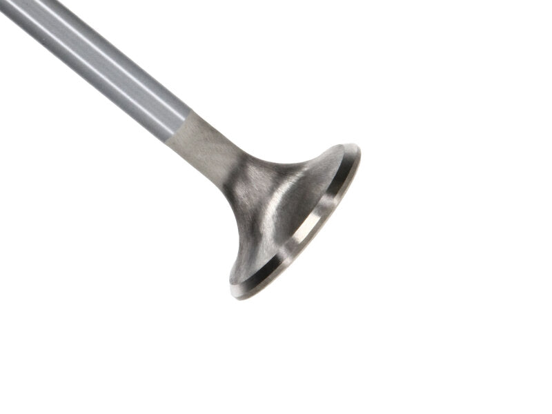 Manley Performance Ford Modular Coyote 5.0L Gen III Race Master Series Exhaust Valve Set - 1.260 inch Diameter