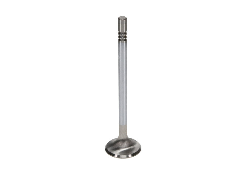 Manley Performance Ford GT350 Voodoo 5.2L Race Master Series Exhaust Valve Set - 1.280 Inch Diameter