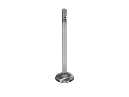 Manley Performance Race Master Series Intake Valve Set for Ford GT350 Voodoo 5.2L - Part Number 12630-8