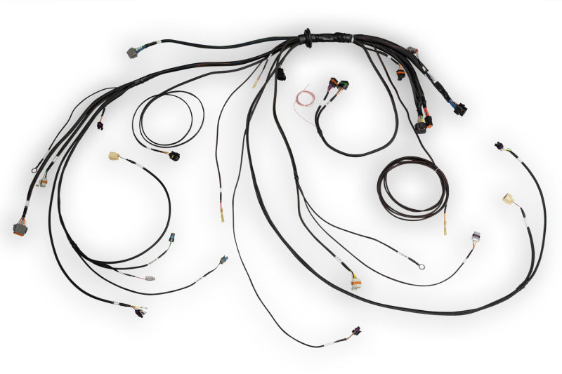 Haltech NEXUS Rebel LS Terminated Harness for ECU - Reliable Automotive Wiring Solution