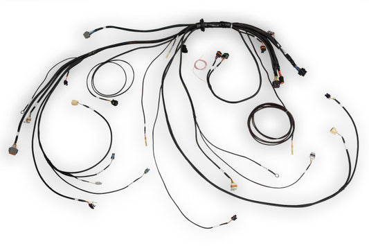 Haltech NEXUS Rebel LS Terminated Harness for ECU - Reliable Automotive Wiring Solution