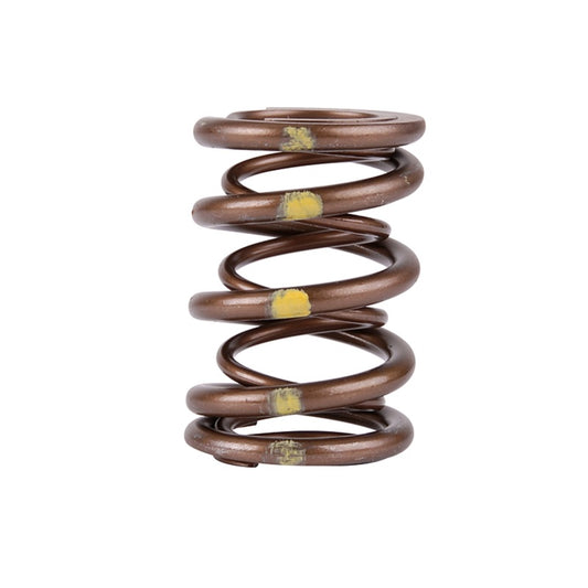 Skunk2 Racing Pro Series Honda/Acura B-Series VTEC XP Valve Spring Set (Part Number 311-05-7350)