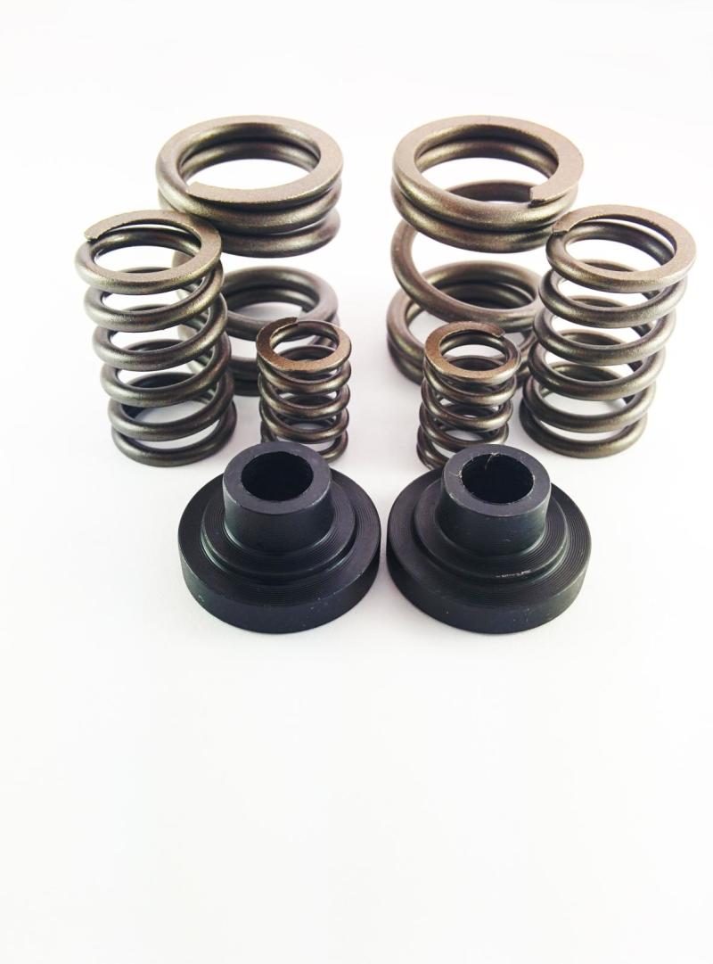DDP 94-98 Dodge Cummins 5.9L 12V P-Pump Governor Spring Kit (Part Number: DDP 34KGSK)