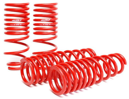 Skunk2 Racing Lowering Springs for 1996-2000 Honda Civic – 2.50 inch Front & 2.25 inch Rear Drop, Part #519-05-1550