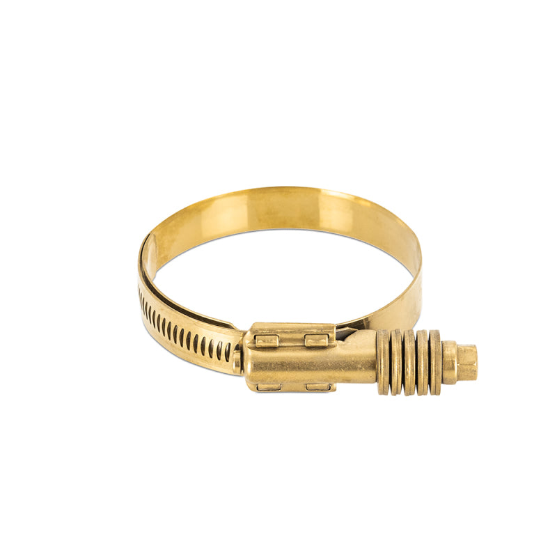 Mishimoto Constant Tension Worm Gear Clamp 1.77-2.60 inches (45-66mm) - Stainless Steel, Gold Finish