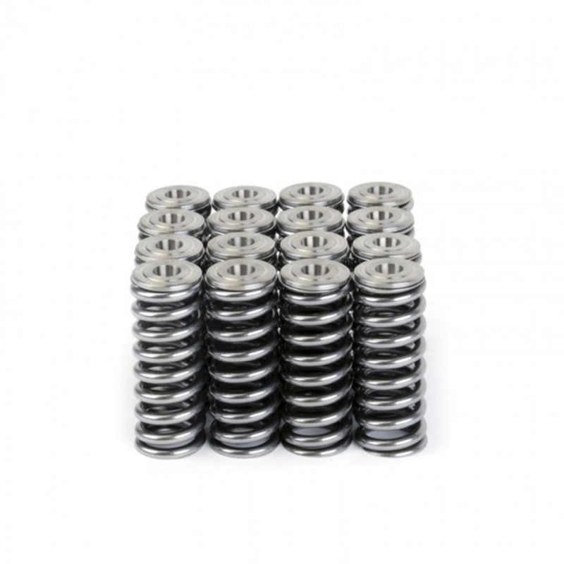 Skunk2 Alpha Series Honda D-Series Valve Spring and Titanium Retainer Kit