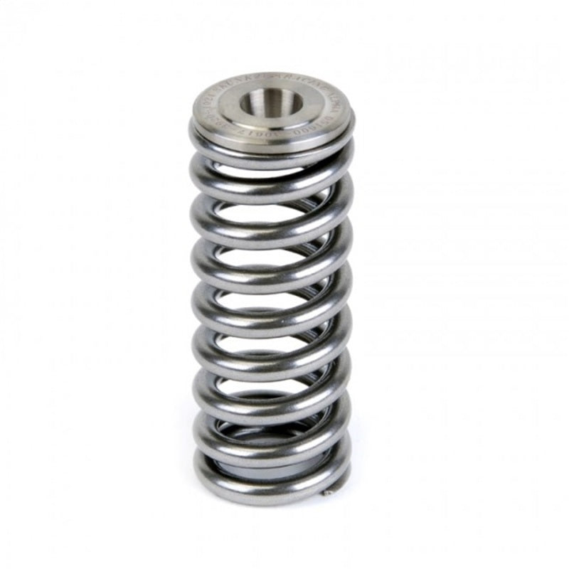 Skunk2 Alpha Series Honda D-Series Valve Spring and Titanium Retainer Kit