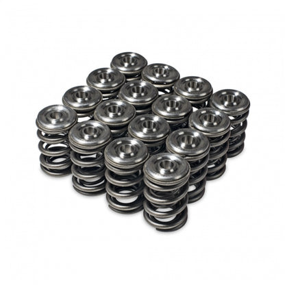 Skunk2 Alpha Series Honda/Acura H Series Valve Spring and Titanium Retainer Kit - Performance Upgrade for H22A Engines
