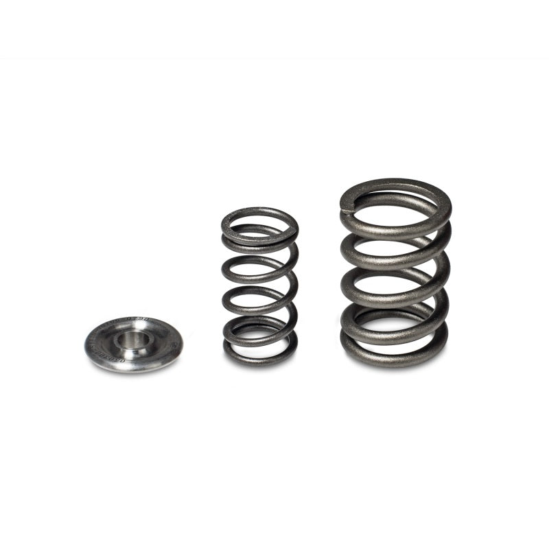 Skunk2 Alpha Series Honda/Acura H Series Valve Spring and Titanium Retainer Kit - Performance Upgrade for H22A Engines