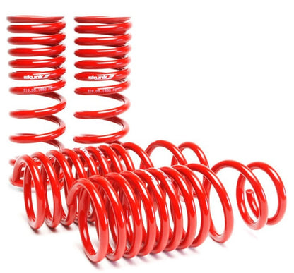 Skunk2 Racing Lowering Springs for 1988-1991 Honda Civic and CRX – Improved Handling and Stance